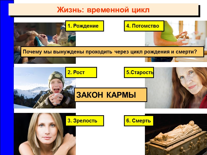 6. Смерть 5.Старость 4. Потомство 3. Зрелость 2. Рост 1. Рождение Жизнь: временной цикл